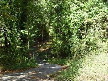 3rd image of 2570 Dogwood Ln
