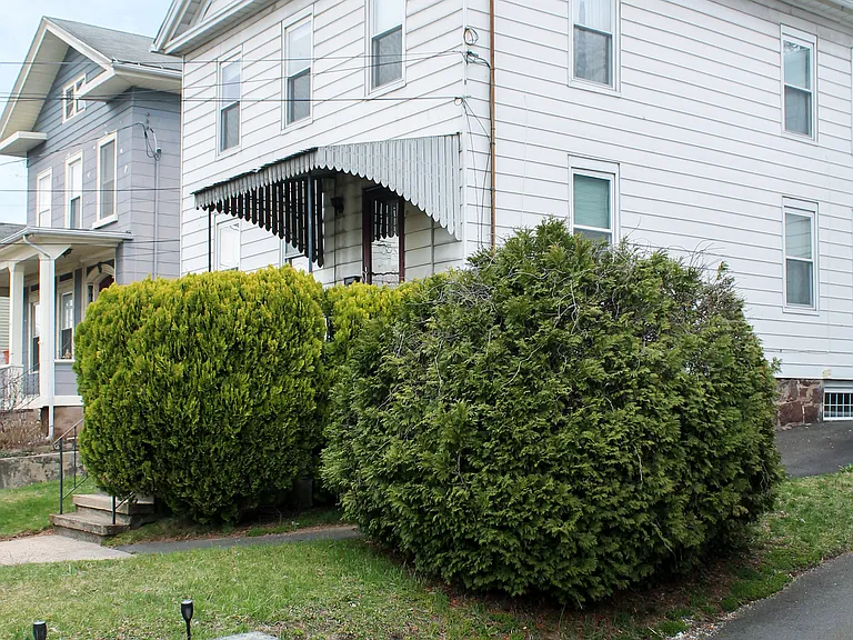 651 Quinnipiac Ave #2 — Photo 2