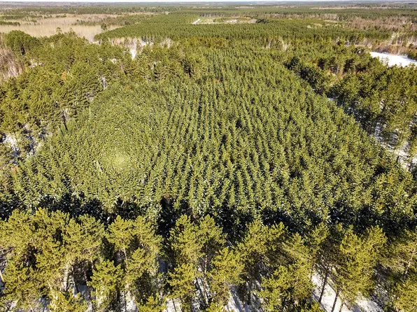 Y Y On Cth, Tomahawk, WI 54487