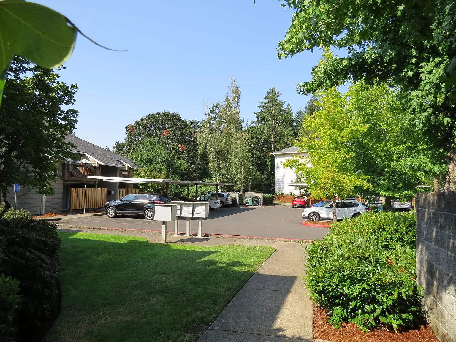 Chehalem Creek Apartments — Photo 3