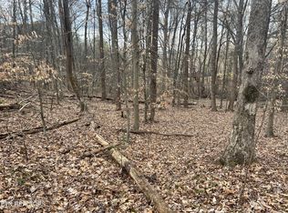 LOT 15 Delainey Dr, Kodak, TN 37764