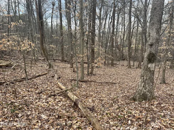 LOT 15 Delainey Dr, Kodak, TN 37764