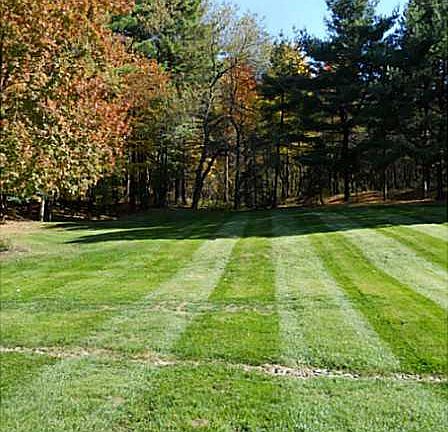 4th image of 433 Deerfield Dr