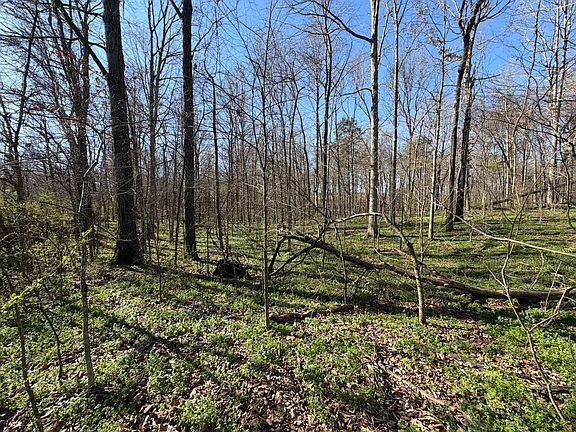 3rd image of 1 Samuel Dr