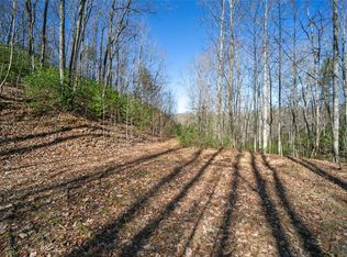 Howard Gap Rd, Saluda, NC 28773