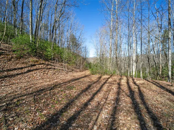 Howard Gap Rd, Saluda, NC 28773