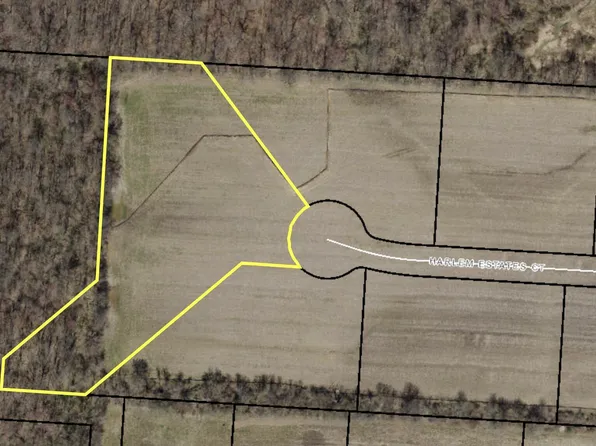 10863 Harlem Estates Ct, Galena, OH 43021
