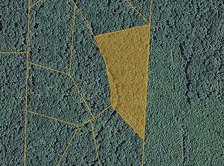 Holladay Resort Subd, Holladay, TN --