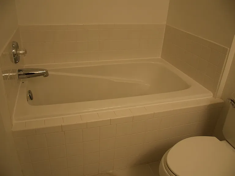 Master bathroom soaking tub