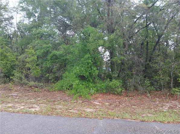 7851 N Vince Dr, Citrus Springs, FL 34434