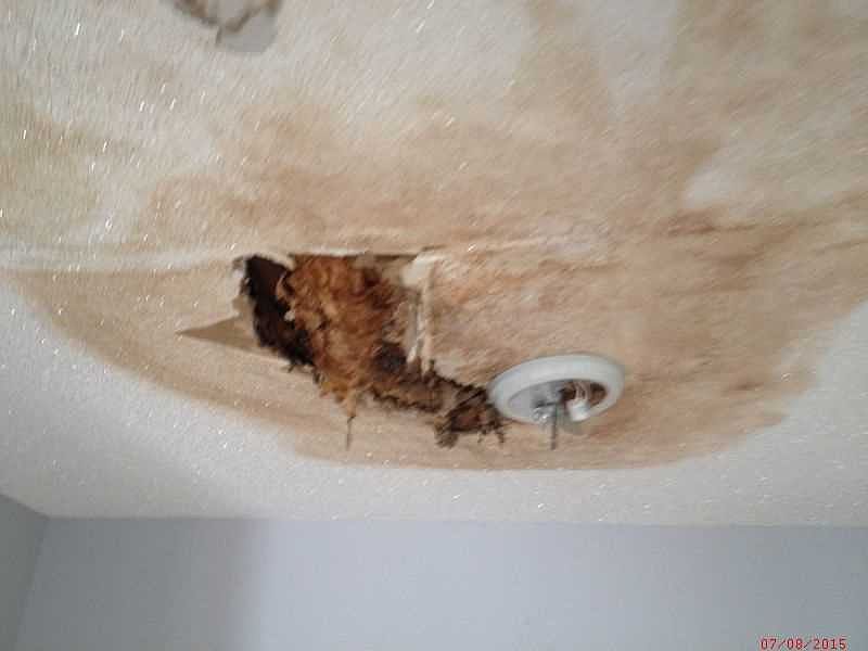 2nd image of 9380 Haitian Dr