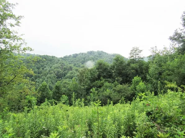 TBD Big Laurel Road, Creston, NC 28615