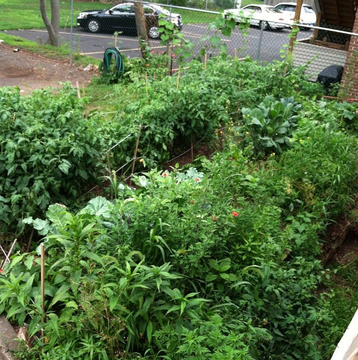 Garden space available
