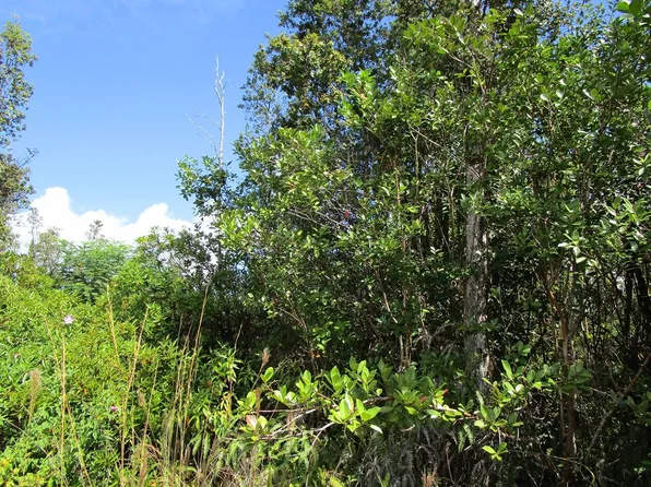30th Ave Lot 181, Keaau, HI 96749