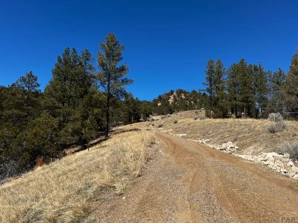 County Road 23.3, Weston, CO 81091