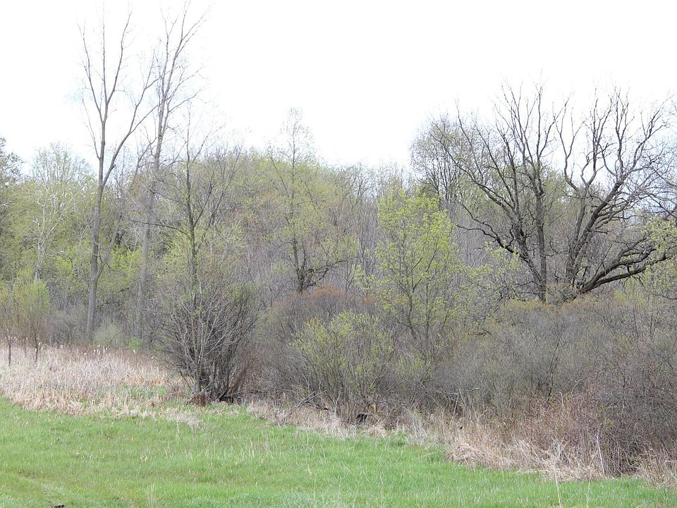 2nd image of Morrill Rd