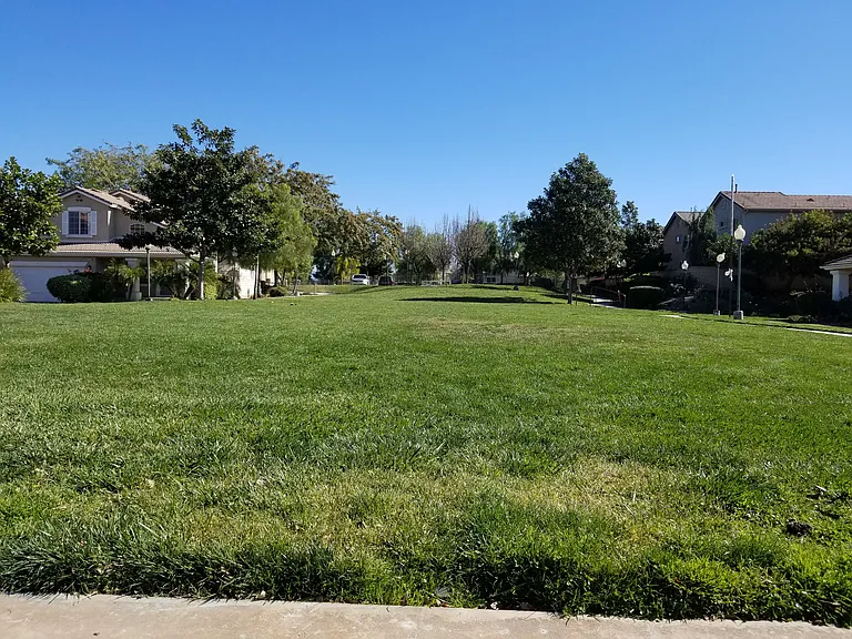 1751 Tallowberry Ln — Photo 27