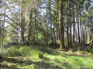 111 Olympic View Avenue NE, Ocean Shores, WA