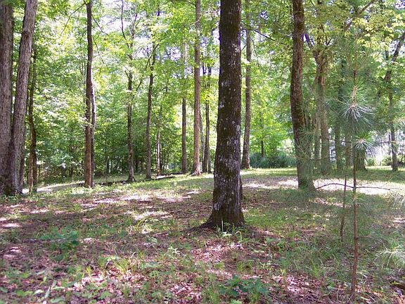 4th image of 1046 County Road 4921
