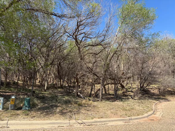 14 Sioux Trl, Ransom Canyon, TX 79366