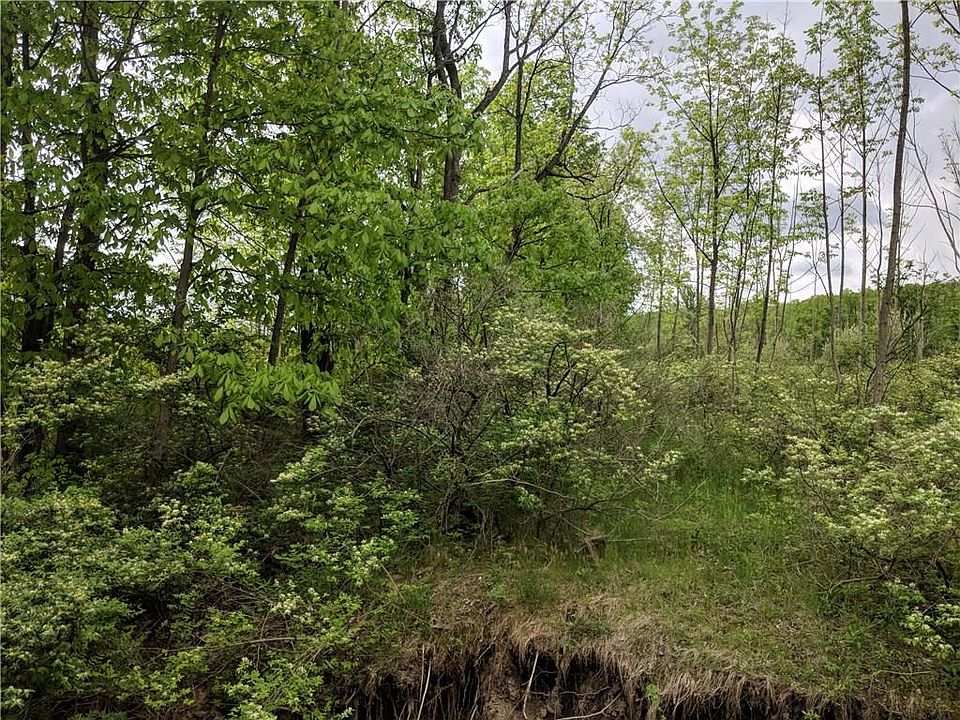 2nd image of 9681 Coykendall Hill Rd