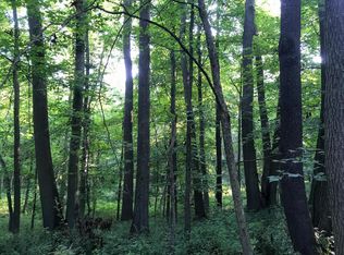 0 Birmingham Rd, Lore City, OH 43755