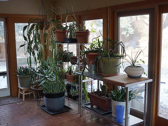 sunroom
