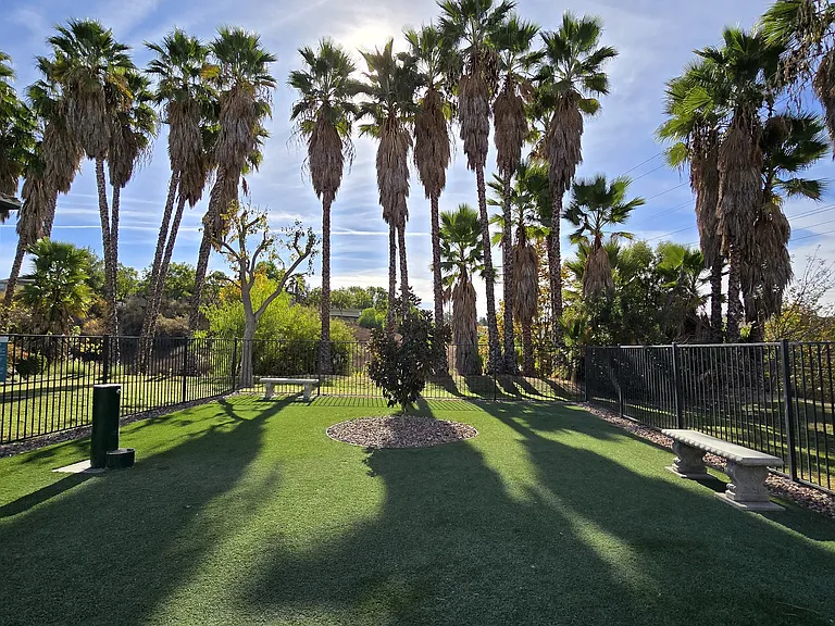 Paws and play at The Hills at Quail Run's dog park! Enjoy a shaded, dog-friendly space where your furry friends can run, play, and relax.