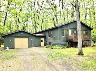 10910 Smelt Dr, Atlanta, MI 49709