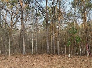 3 Mann Rd, Shiloh, GA 31826