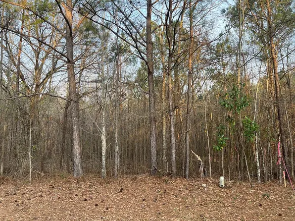 3 Mann Rd, Shiloh, GA 31826