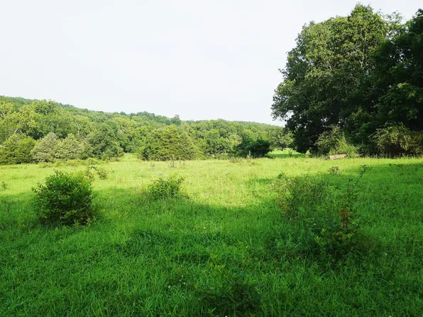 252 Douglas County Road #5, Ava, MO 65608