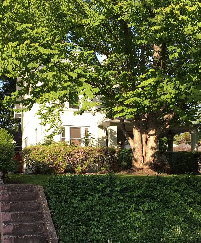 76 Rector St photo 1