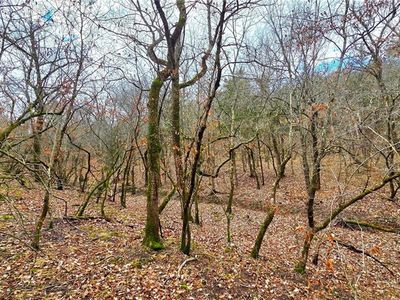 12156 Ellis Rd, Centerville, KS, 66014