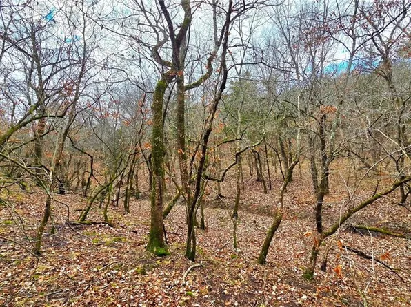 12156 Ellis Rd, Centerville, KS 66014