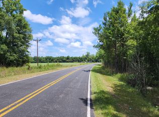 19 Thomas Kate Rd, Dorchester, SC 29437