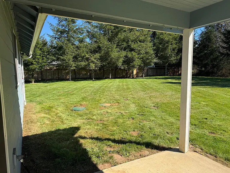 Back yard