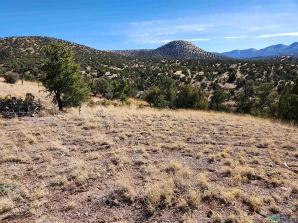 State Highway 169, Magdalena, NM 87825