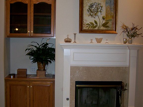 Fireplace/Built-ins