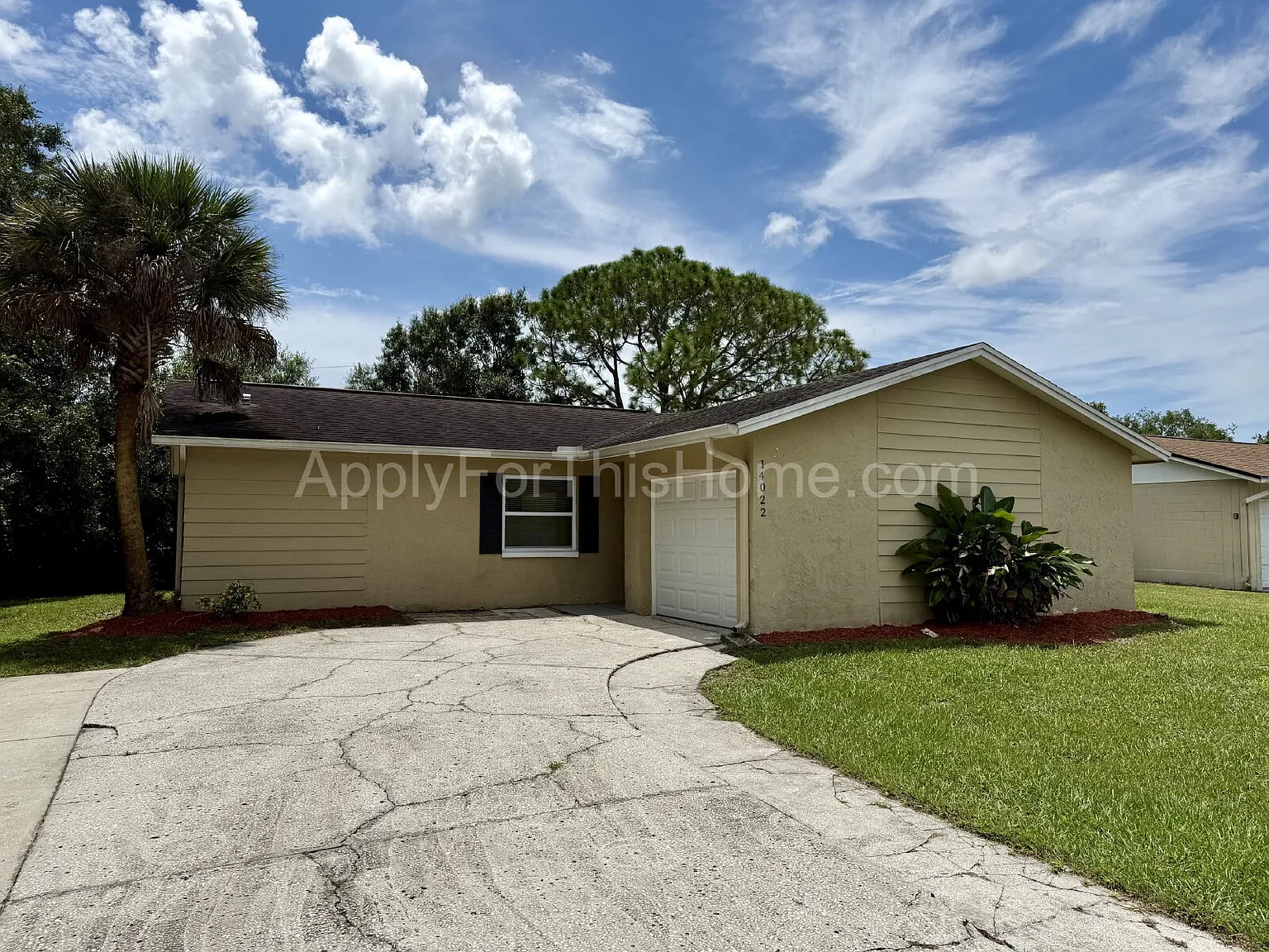 Single Family Home - Carrollwood Area — Photo 1