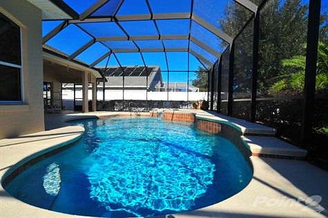 36 Lee Drive pool3