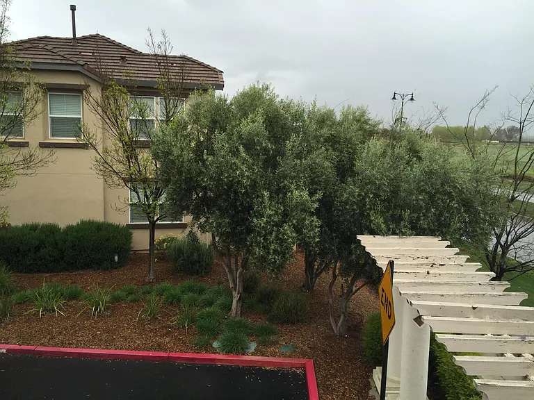 42 W Sergio Way — Photo 12