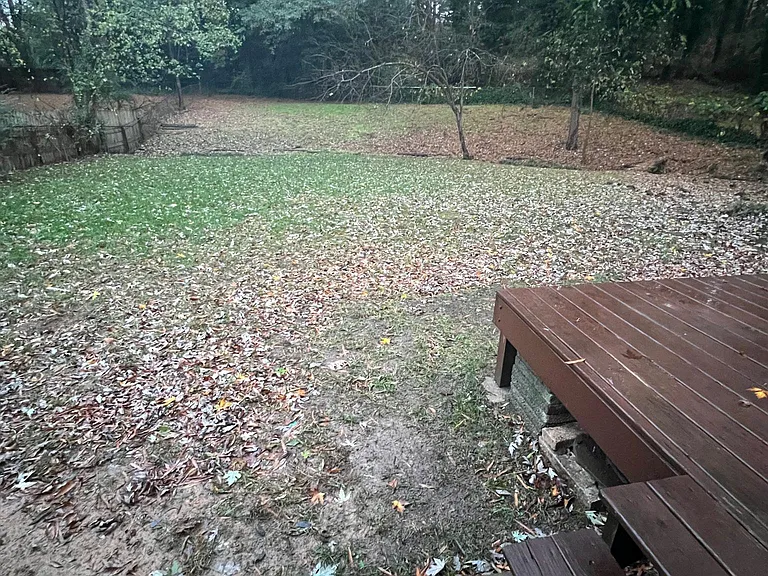 Backyard/Porch