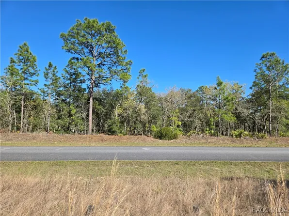 6493 N Pembroke Ter, Citrus Springs, FL 34434