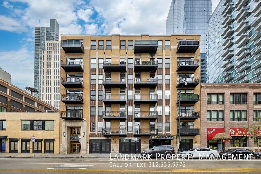 1307 S Wabash Ave Unit 411 — Photo 1