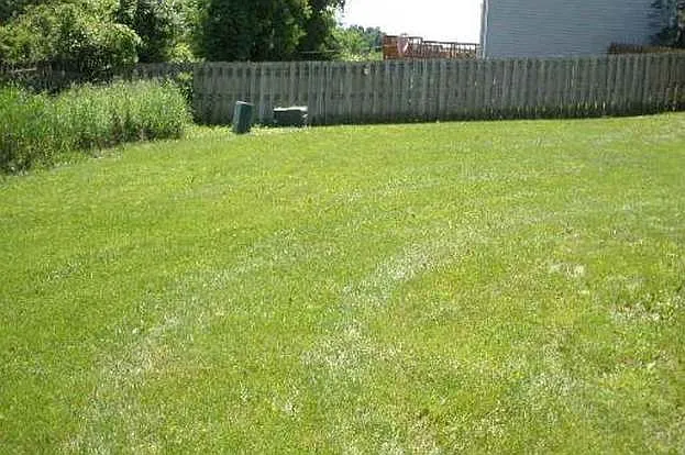 38 W Tall Grass Ct — Photo 2