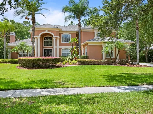 16416 Burniston Dr, Tampa, FL 33647