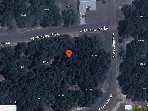 1376 W Mosswood Ln, Citrus Springs, FL 34434