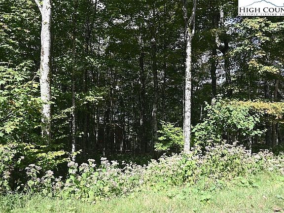 2nd image of 104 W Shamrock Road
