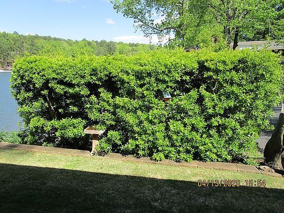 Hedges for privacy.